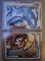 Pokemon Kyogre&Groudon Legende beide Teile! 2010