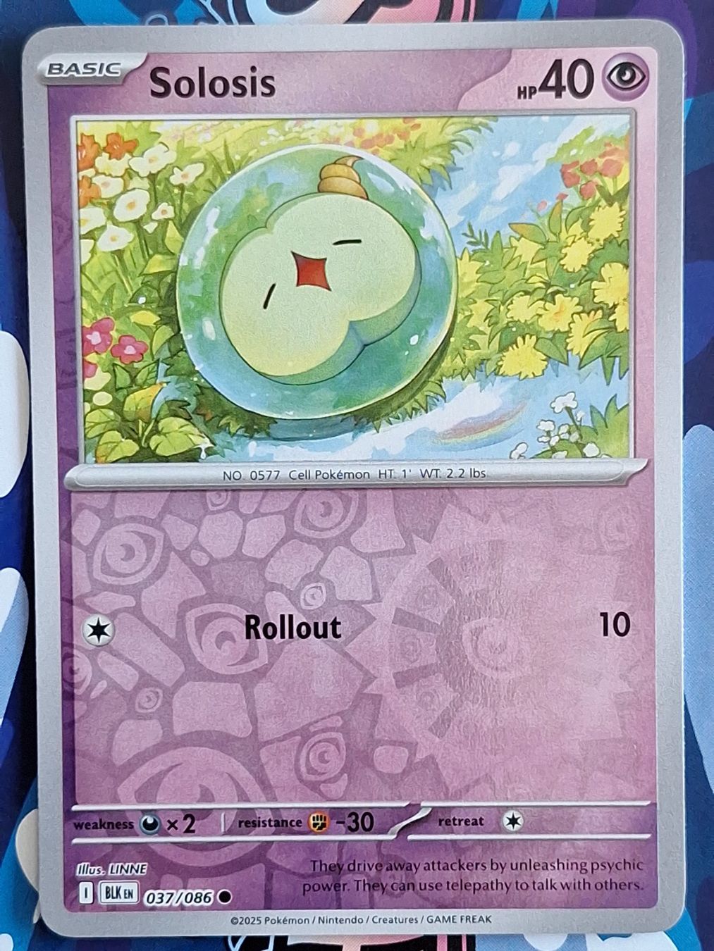 Pokémon Sammelbilder & Trading cards: Solosis - Reverse Holo Pokemon Black Bolt - #7.4 – Gebraucht aus Altstätten SG von GGsGameshop