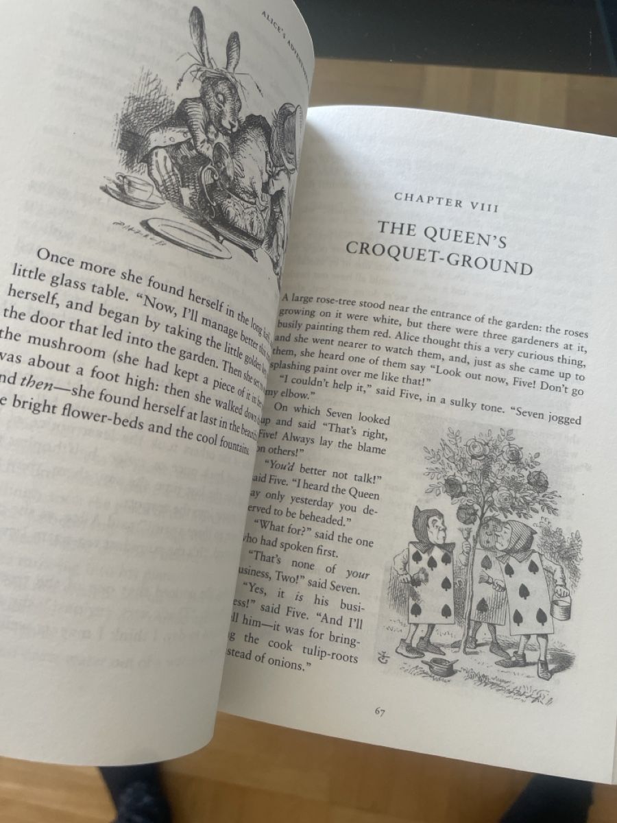 Libri: Alice in Wonderland – Nuovo (secondo la descrizione) da Freidorf TG venduto da ibipatria 3