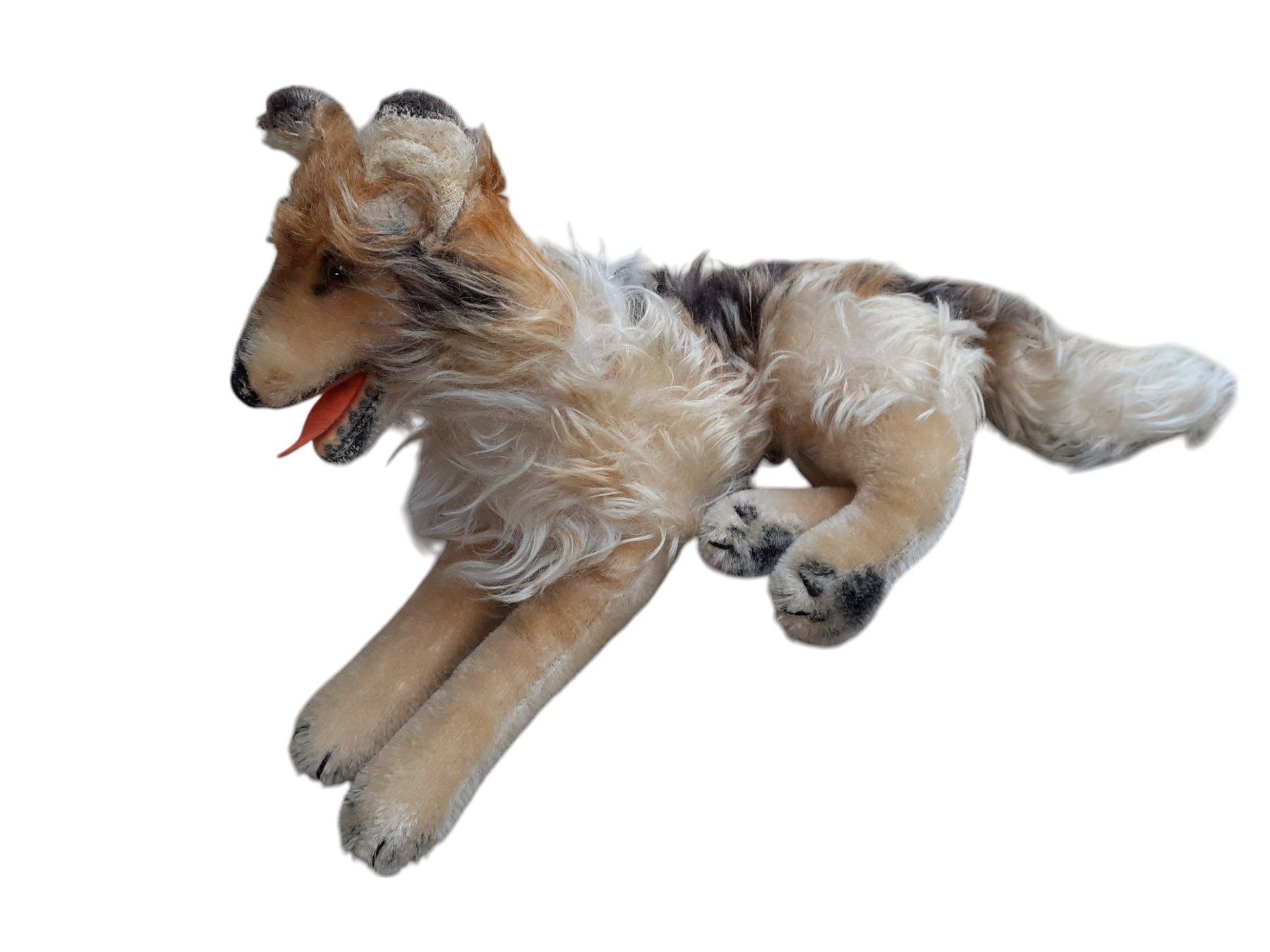 Steiff Giocattoli: Stofftier Steiff Collie antik – Usato da Mörschwil venduto da lindaswunderkiste