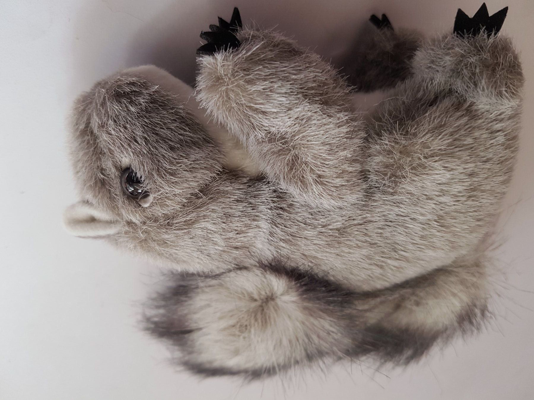 Bambole: FOLKMANIS: Fingerpuppe Eichhörnchen  / NEU – Nuovo e nell'imballaggio originale da Dürrenäsch venduto da Didaedi 2