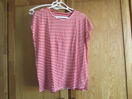 Fröhliches Ringelshirt