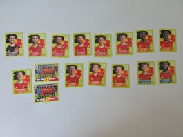 Sticker Panini WM 2026 Belgien 16 Stk mit 2x De Bruyne