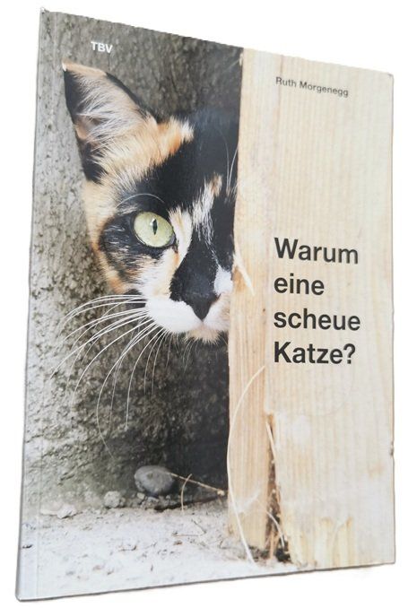 Bücher: Warum eine scheue Katze (Buch, Ruth Morgenegg) – Gebraucht aus Wilen b. Wollerau von morethanmusic