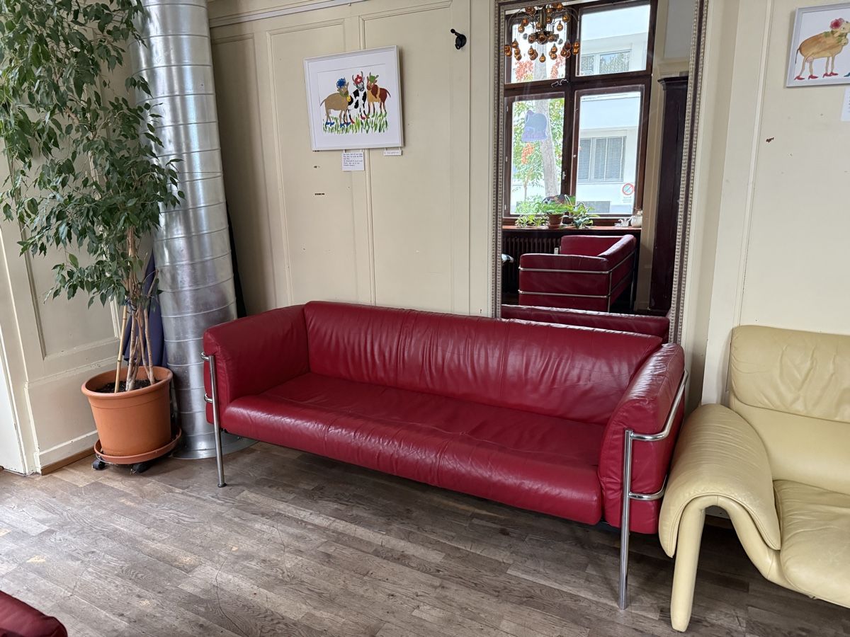 Divani: LEDERSOFAS KEBE DESIGN – Usato da Basel venduto da Chocolateberry 1