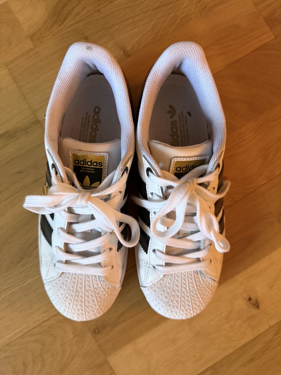 Adidas Damenschuhe: adidas superstar (37 1/3) – Gebraucht aus Freidorf TG von driftingforthrifting 1