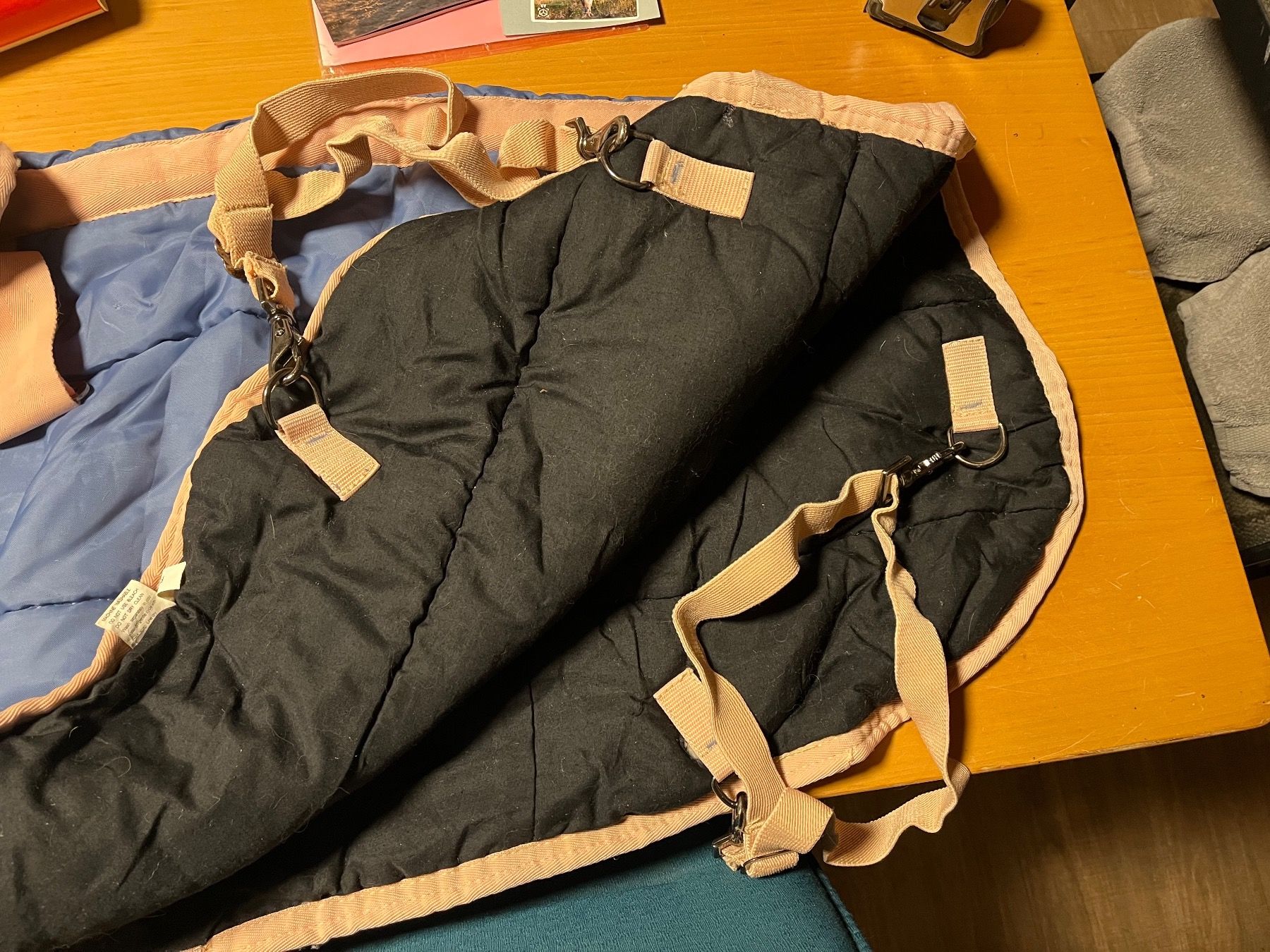 Decken: Fohlendecke hellblau – Gebraucht aus Oppligen von chicca25 4