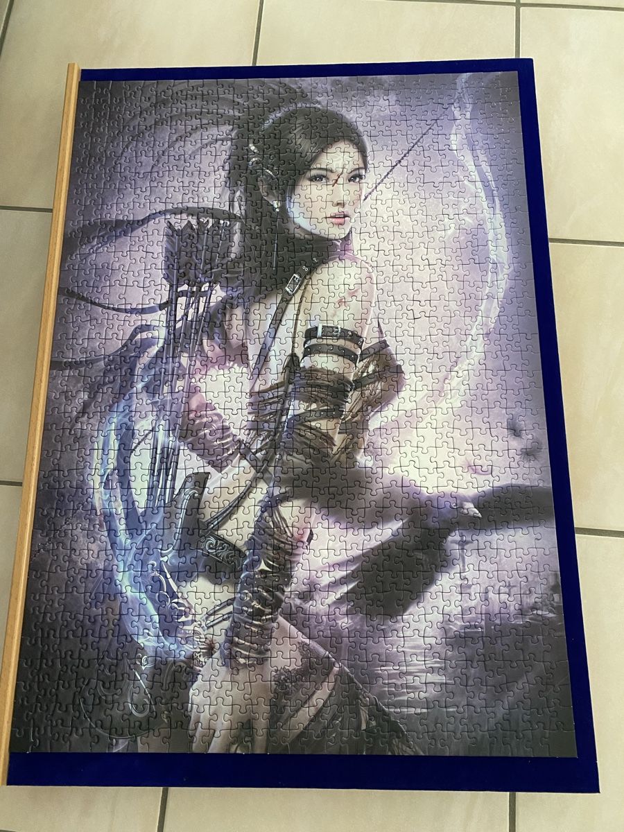 Ravensburger Puzzle: Puzzle 1000 L’archer – Nuovo (secondo la descrizione) da Montfaucon venduto da droopy219 1