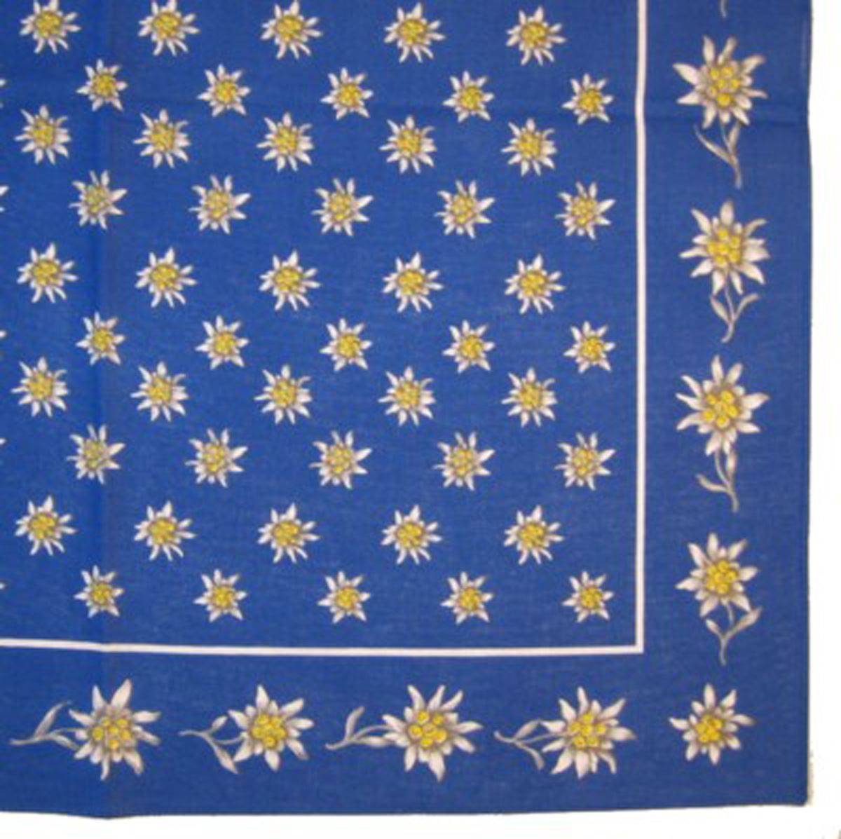 Altro in  Abbigliamento & Accessori: Nickituch, Bandana, Gesichtsschutz – Nuovo e nell'imballaggio originale da Appenzell venduto da Jenzler