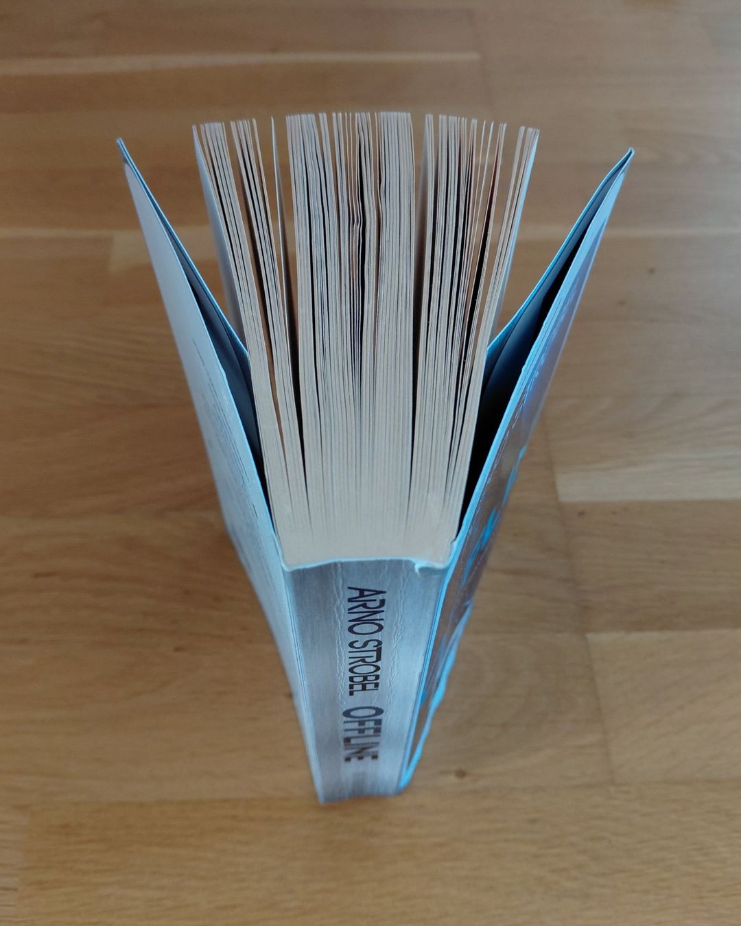 Livres: Offline / Arno Strobel – D'occasion à Emmenbrücke par Re6020 2