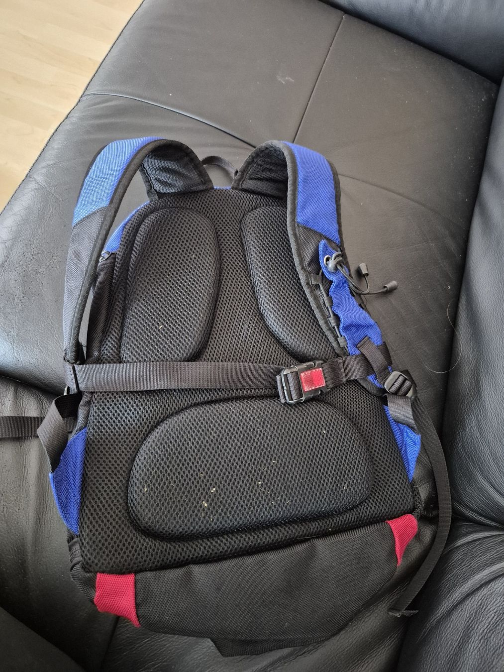 Zaini: Shark Skin Rucksack – Usato da Schöfflisdorf venduto da kin_2dp9 1