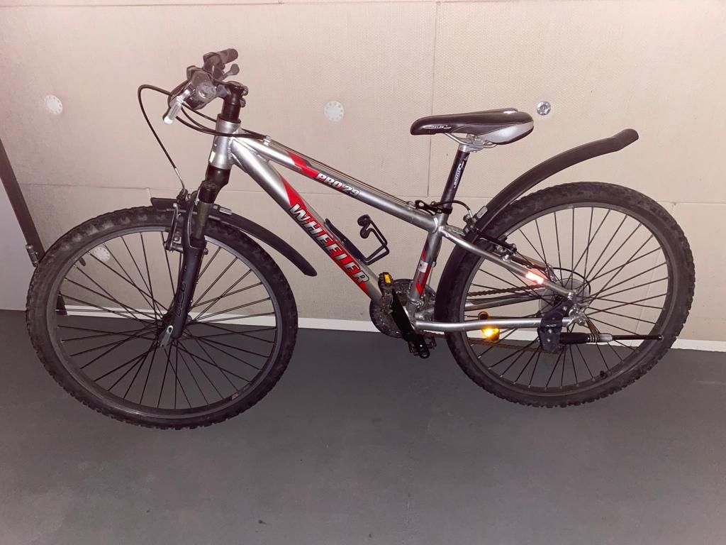 Wheeler Biciclette: Kindervelo – Usato da Pfäffikon SZ venduto da DJ19 2