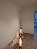 Balzer Diabolo Neo Teleskoprute 