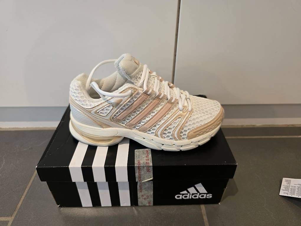 Adidas Damenschuhe: adidas adistar control 5 Gr.36 – Gebraucht aus Aadorf von Paedi_1980 3