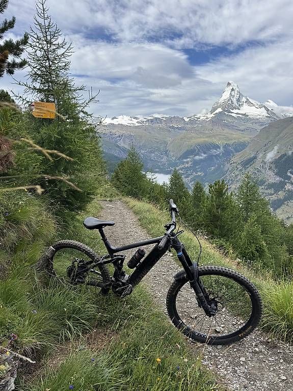Biciclette: BiXS Lane E16 - XL – Usato da Hergiswil NW venduto da rem_wt5j