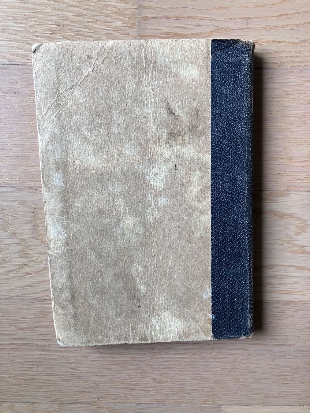 Libri: Schweizer Pilzbuch / E. Habersaat, 1941 – Usato da Genève venduto da SamZu 3