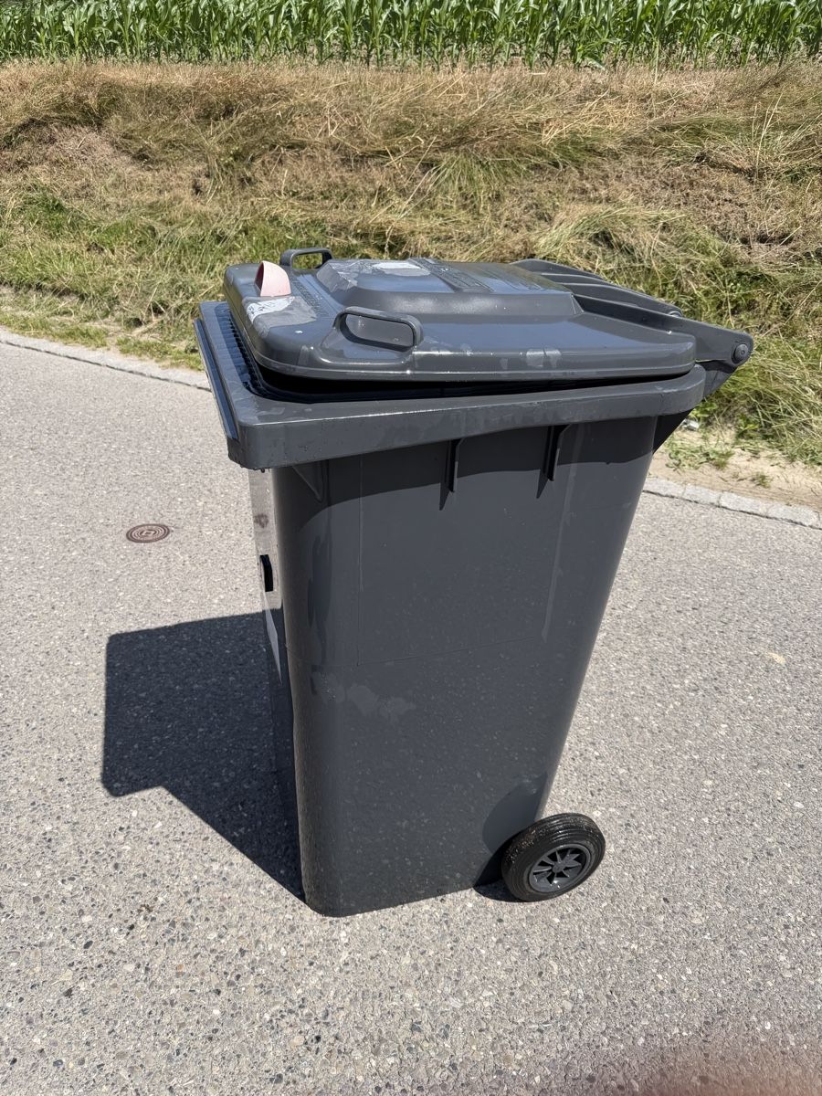 Korpus: Abfallcontainer 240L – Gebraucht aus Guschelmuth von oxtar 1