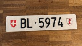 BL 5974 FZ Kennzeichen