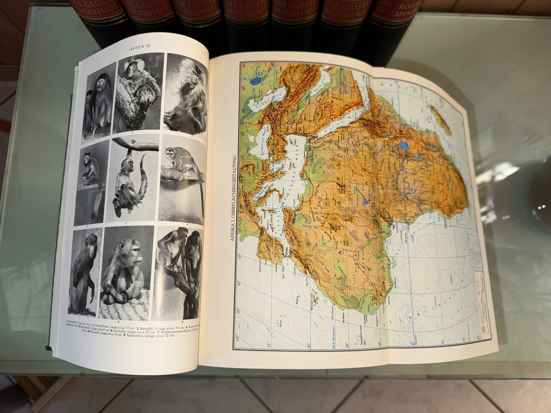 Libri: Der grosse Brockhaus 14 Bände 1953 – Usato da Grosswangen venduto da Second_hand_paradise 5