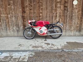 Suzuki T125 Scheunenfund