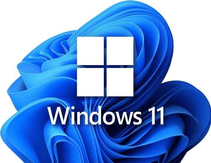 Microsoft Software: Microsoft Windows 11 Pro – Usato da Balgach venduto da GZ-Tech