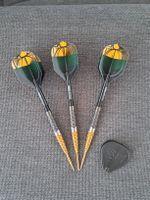 Dartpfeile Target Cult Envy 01 SP 21 Gramm