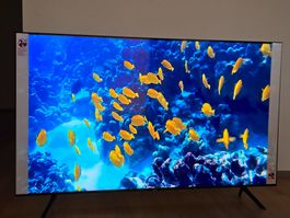 Samsung QE55Q60T QLED 4K 55 inch, neuwertig, original box