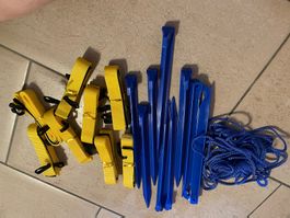 Hunde Longierset Neu