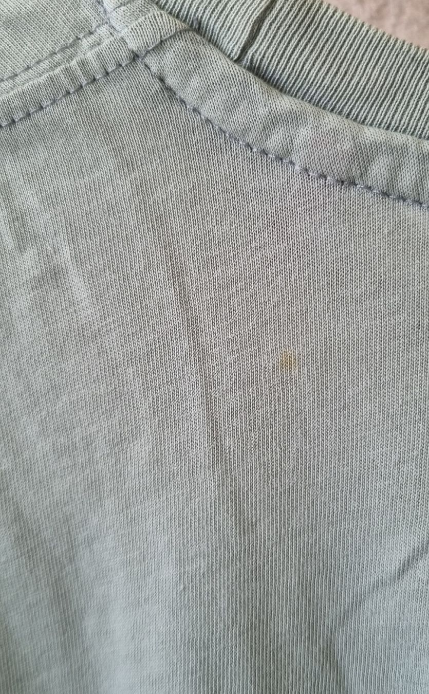 Alpha Industries T-Shirts: Alpha Industries Shirt, Gr. L – Gebraucht aus Oberriet SG von gimidrip 4