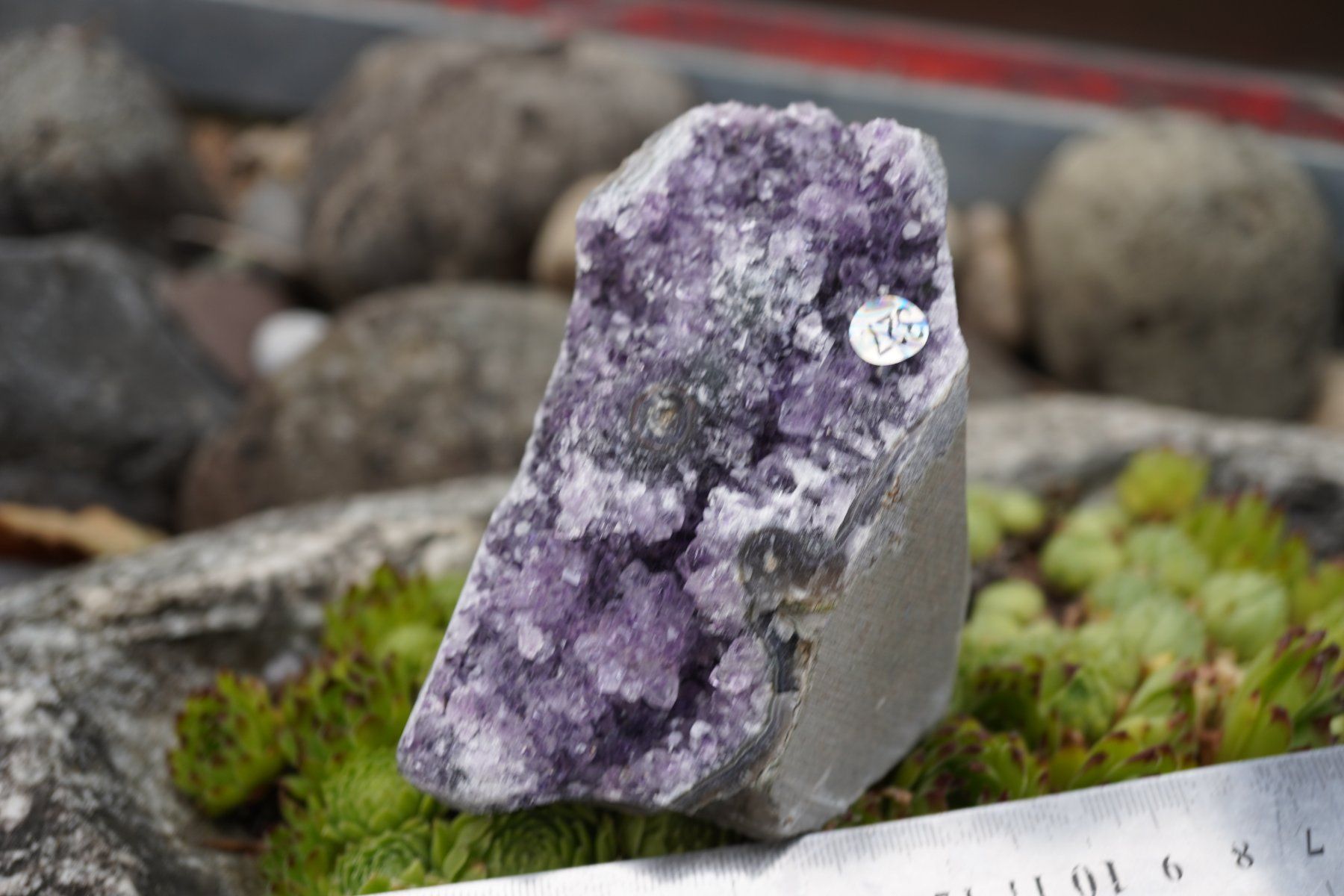 Minerali & Pietre curative: Amethyst Drusen Stück    620g  Topstone  ab  10.- – Nuovo e nell'imballaggio originale da Eschenbach SG venduto da topstone 2