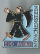Münchenstein 300 Jahre, Pin