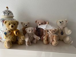 Steiff Teddybären, kleine Sammlung von sechs Teddy's