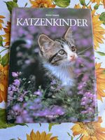 Katzekinder von Marcus Schneck, tolles Buch für Katzenfans!