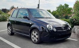 WV Lupo