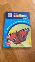 Schmetterlingsbuch für Kinder - Entdecke die Natur!