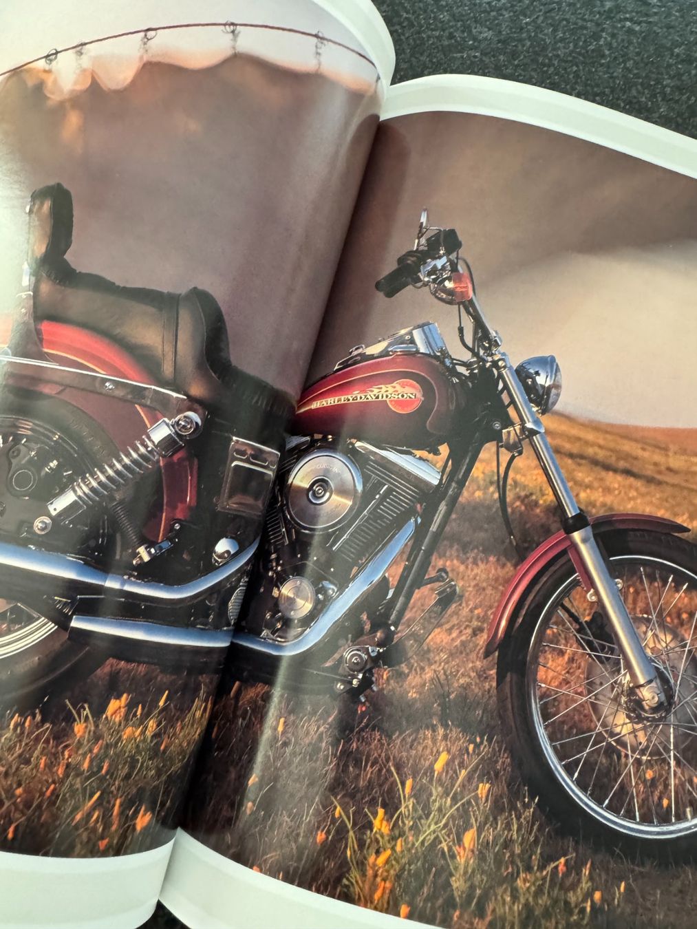 Documenti: Harley-Davidson Prospekt, Katalog, Broschüre 1994 – Usato da Niederhasli venduto da Berno 3