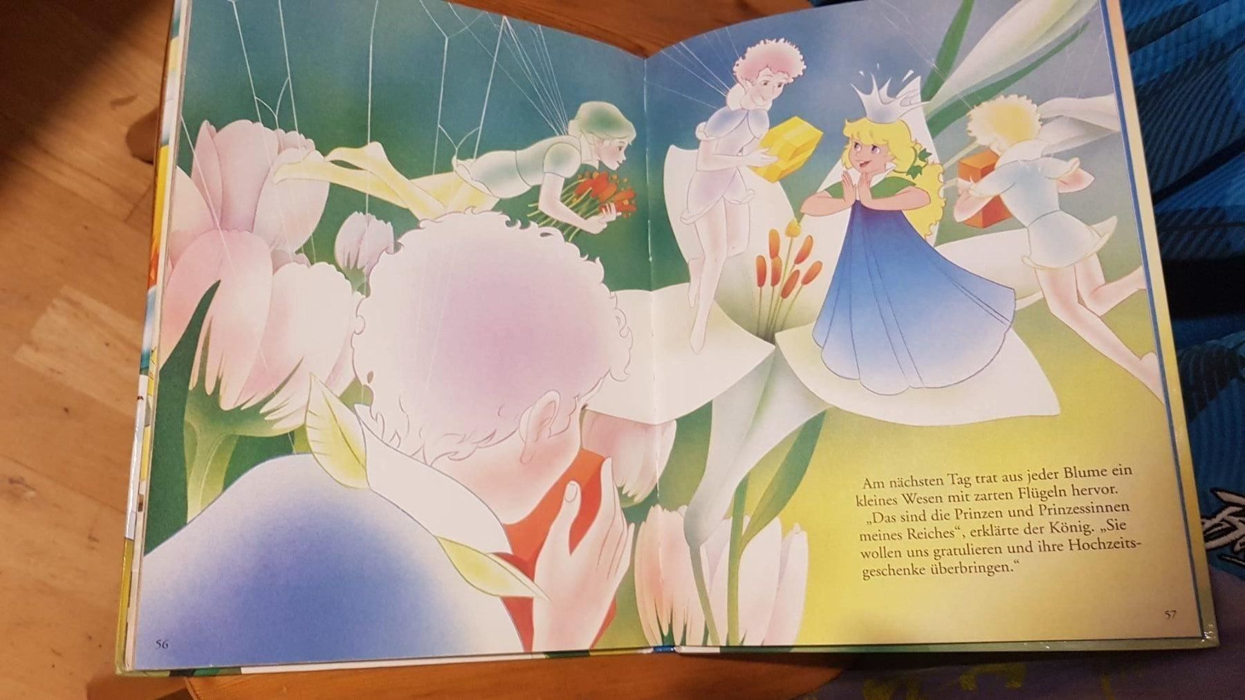 Libri: Däumelinchen - Christian Andersen – Usato da Spiegel b. Bern venduto da sus_xj97 1