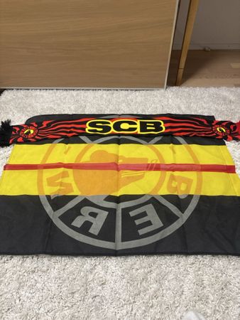 SCB Fanschal Gelb-Schwarz-Rot, gut erhalten, Winter-Accessoi