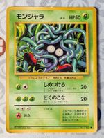 🇯🇵 Pokemon Tangela (Saquedeneu) Expansion Pack JAP