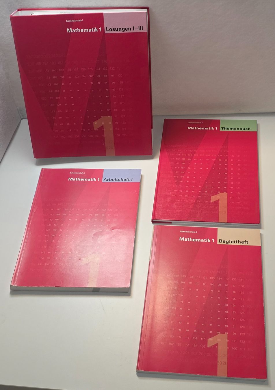 Libri: LMVZ MATHEMATIK 1 Lösungen Arbeitsheft Begleitheft Themenbuc – Nuovo (secondo la descrizione) da Dürnten venduto da Bachtelrider_ 1
