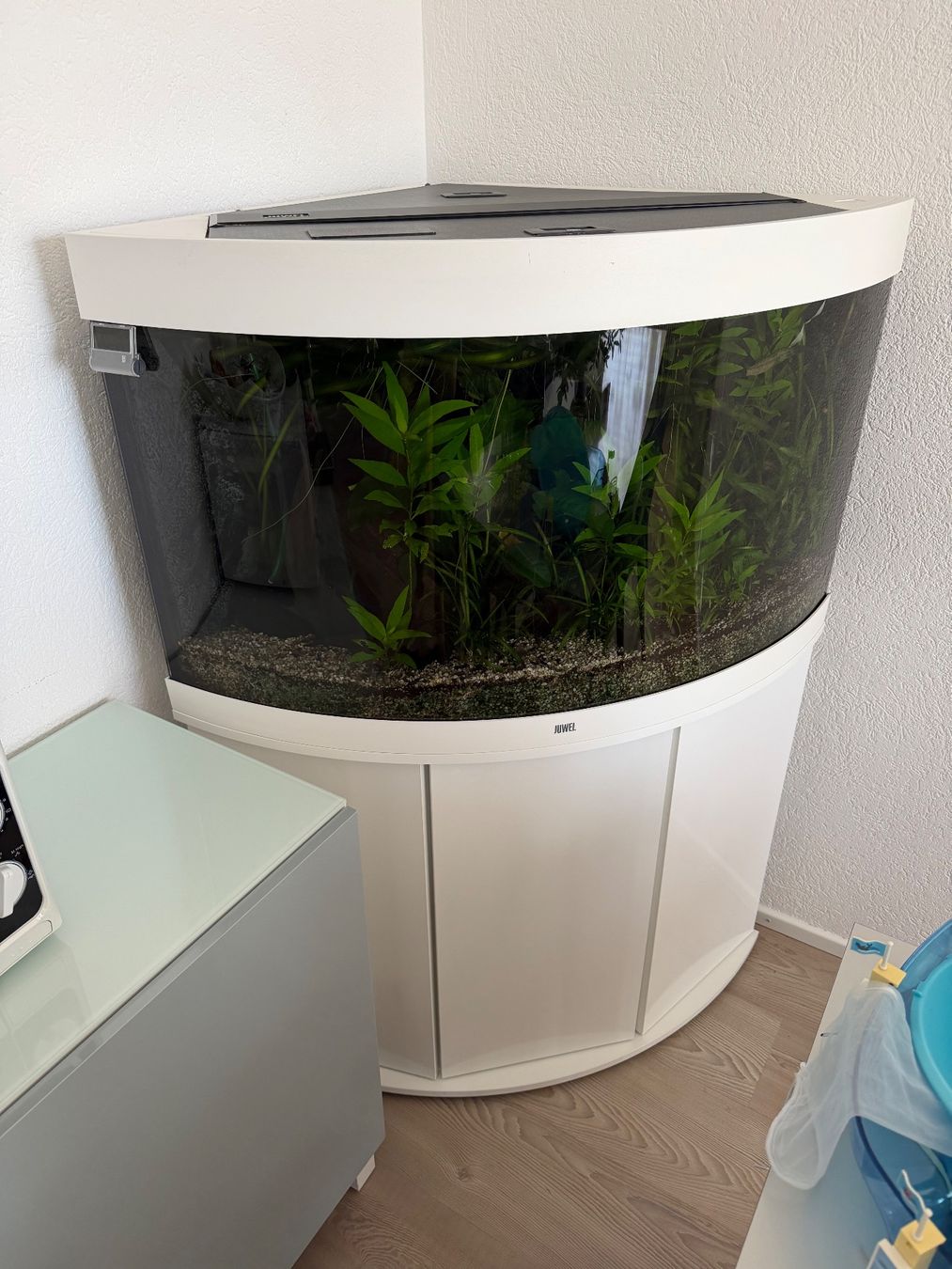 Juwel Acquari: Aquarium Juwel Trigon 190 – Usato da Lengnau BE venduto da AndyFritz1 1