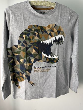 Next Tyrannosaurus Rex Print Long Sleeve Shirt, Size 146
