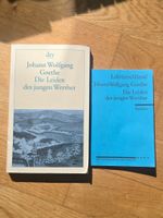 Buch Die Leiden des jungen Werther Goethe + Lektüreschlüssel