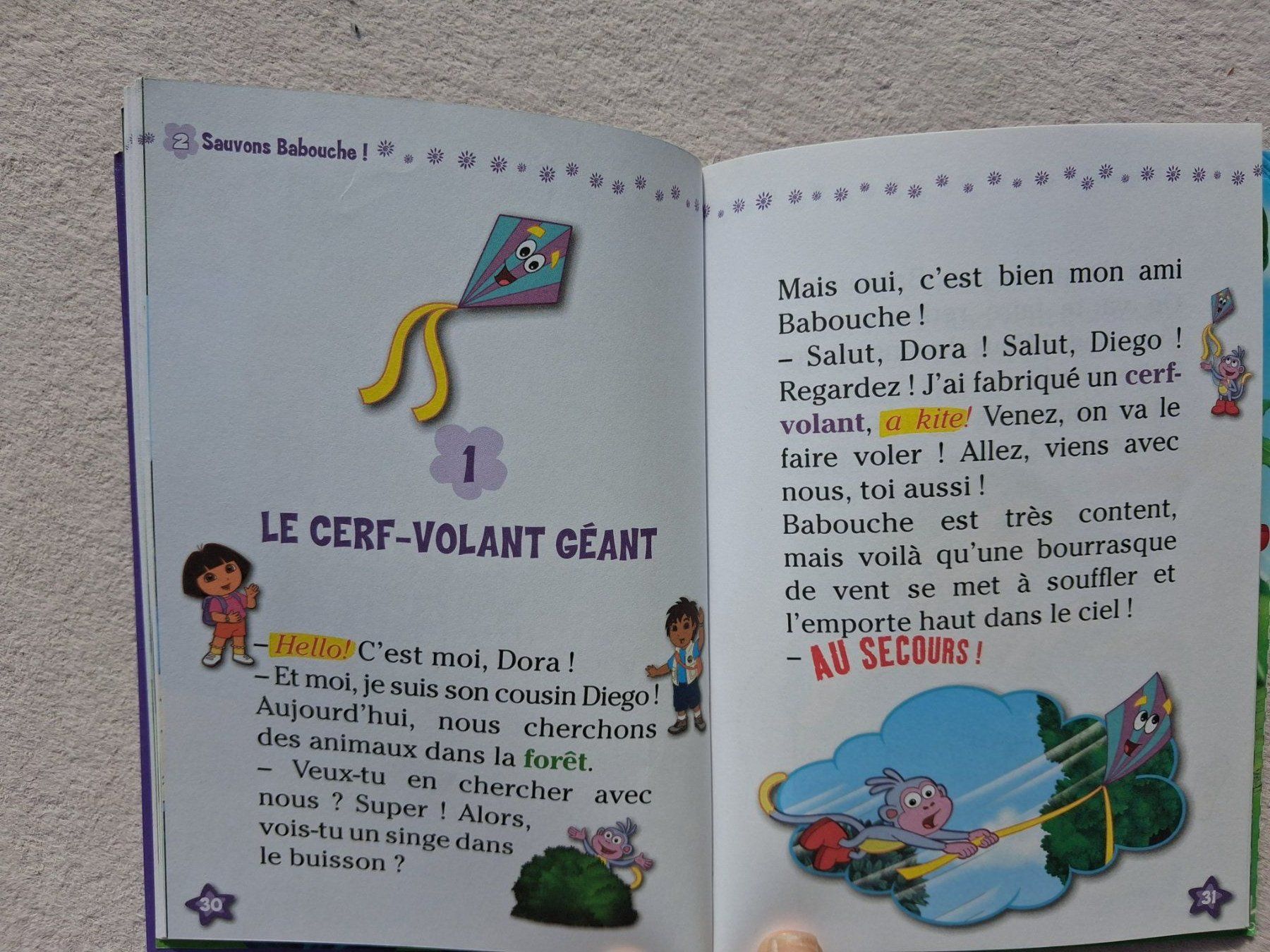 Bücher: Babouche ce héros - Dora l'exploratrice – Gebraucht aus Fully von Minouchka 1