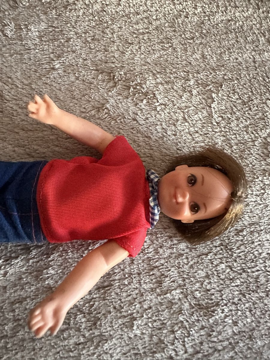 Puppen: Barbies Todd – Gebraucht aus Herbriggen von Sehrazade 1