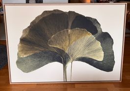 Bild Leinwand Gingko