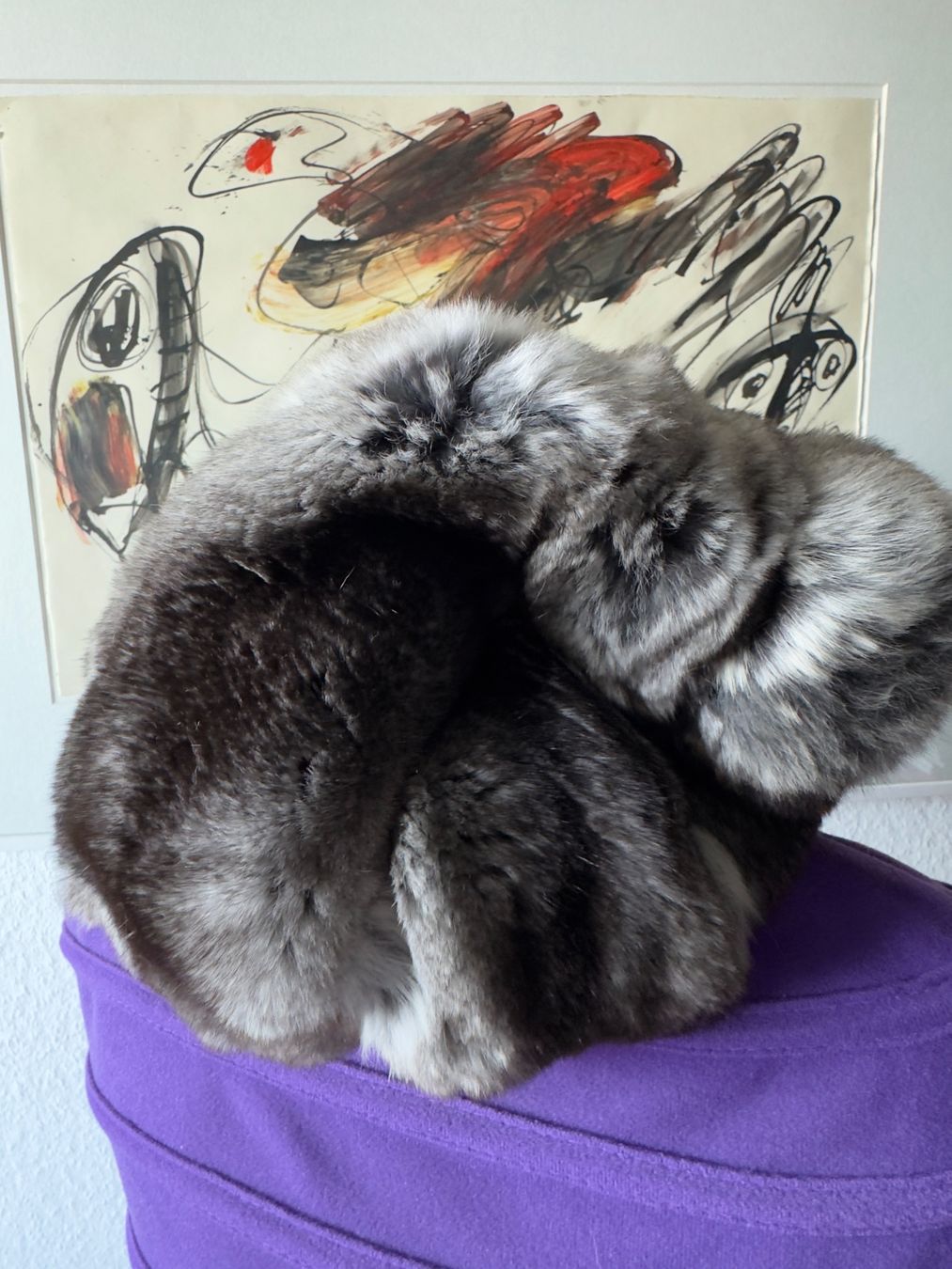Copricapi, berretti & cappellini: Chinchilla Fur Hat With Pom Pom & matching Collar – Nuovo (secondo la descrizione) da Birsfelden venduto da Brut 2