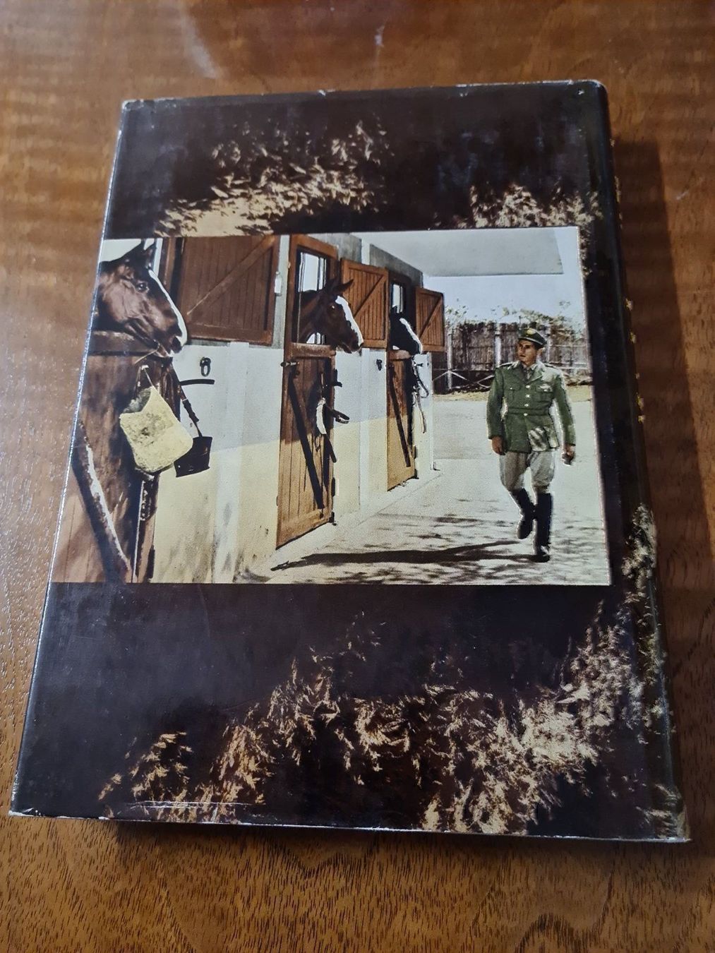 Libri: Mein Leben mit Pferden – Usato da Erstfeld venduto da Uhu1980 1