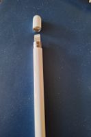 Stylo Apple Pencil 1re génération blanc occasion