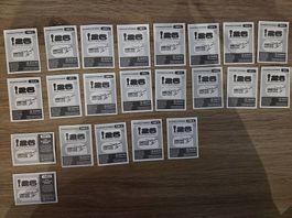 Panini 26